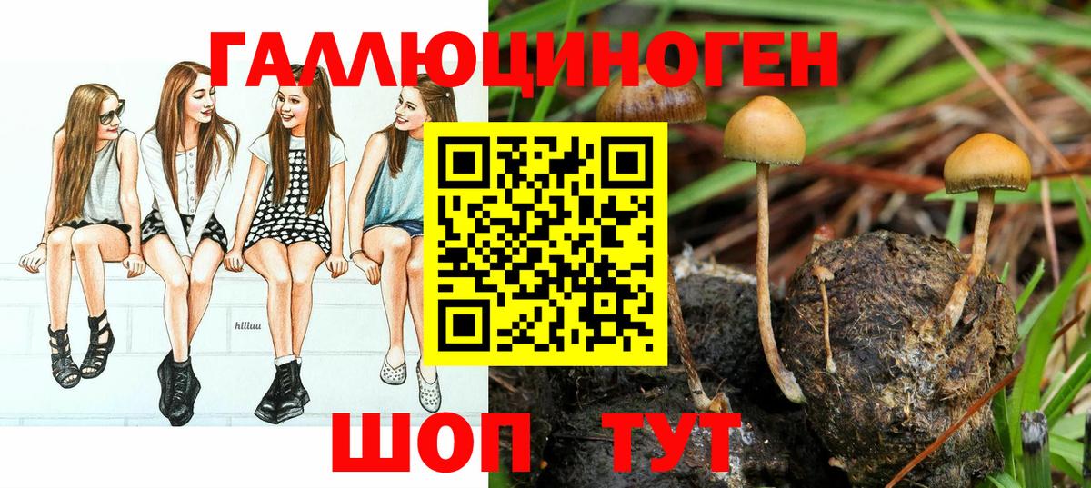 Фурманов  Галлюциногенные грибы Psilocybe  Псилоцибиновые грибы Magic Shrooms  Вход с VPN 
